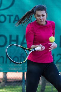 Bild 366 - VL Marienthaler THC - THC von Horn und Hamm